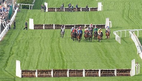racing tips aintree|Aintree Grand National Day 2 Tips .
